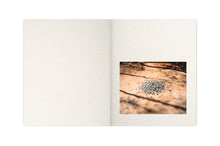 Load image into Gallery viewer, VASANTHA YOGANANTHAN - AMMA