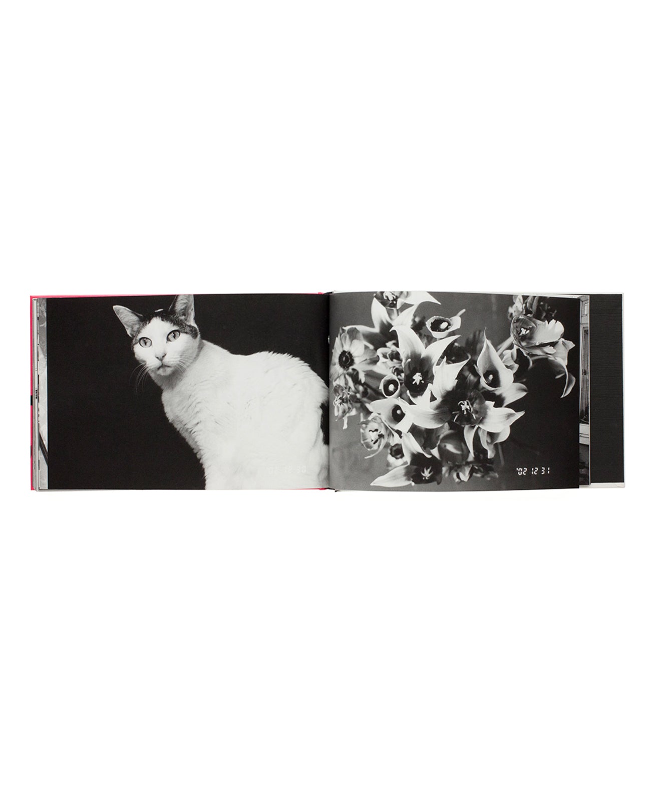 Nobuyoshi Araki - Araki 2002