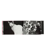 Load image into Gallery viewer, ARAKI NOBUYOSHI - ARAKI 2002