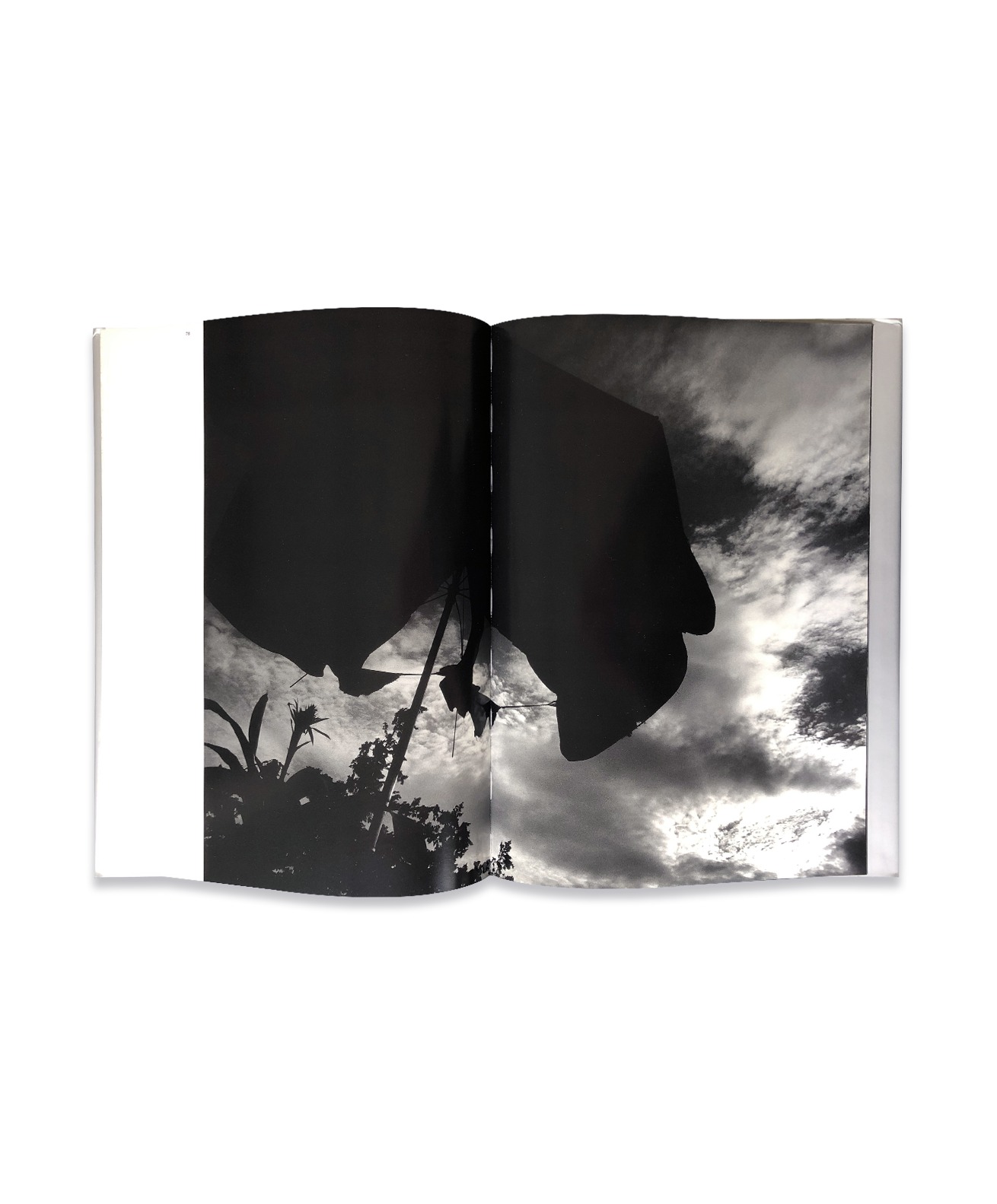 Nobuyoshi Araki - Skyscapes – Galerie Écho