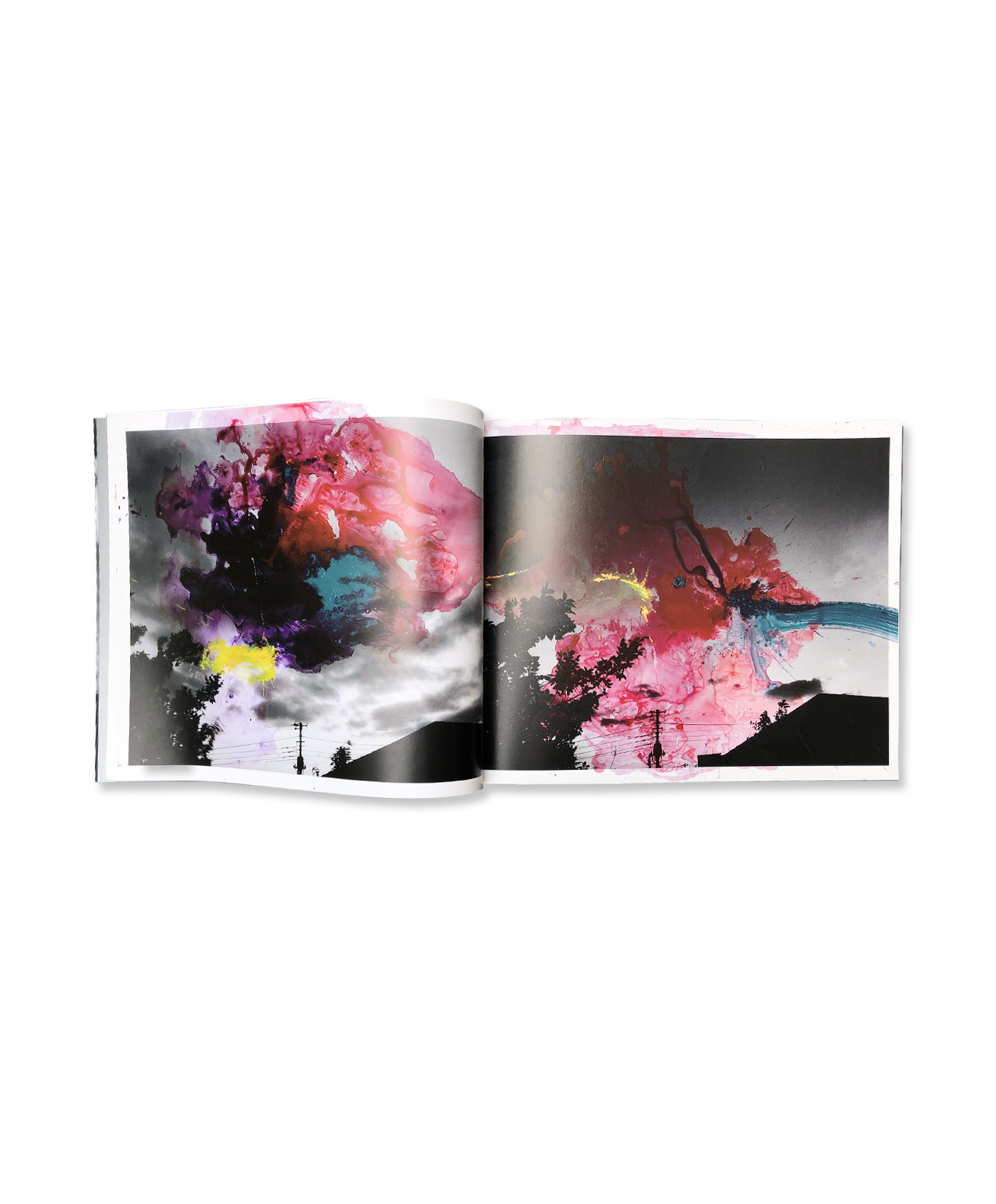 Nobuyoshi Araki - 2THESKY, my ender