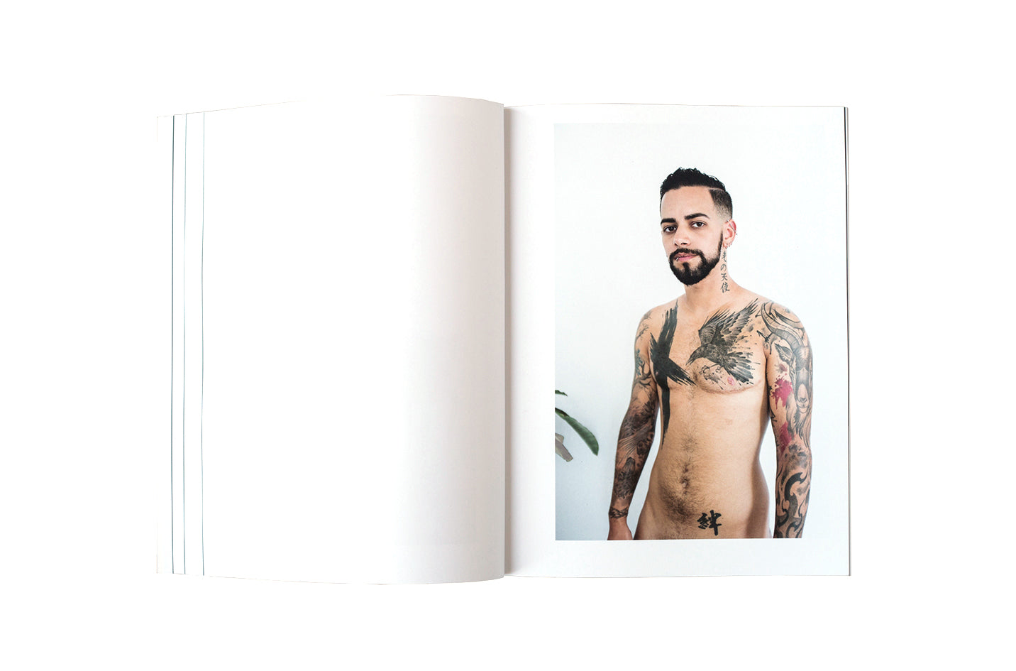 Emilie Hallard - Les Corps Incorruptibles