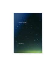 画像をギャラリービューアに読み込む, CHAD MOORE - ANYBODY ANYWAY