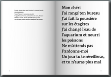 Load image into Gallery viewer, JUSTINE LEVY - UNE HISTOIRE DE FAMILLE