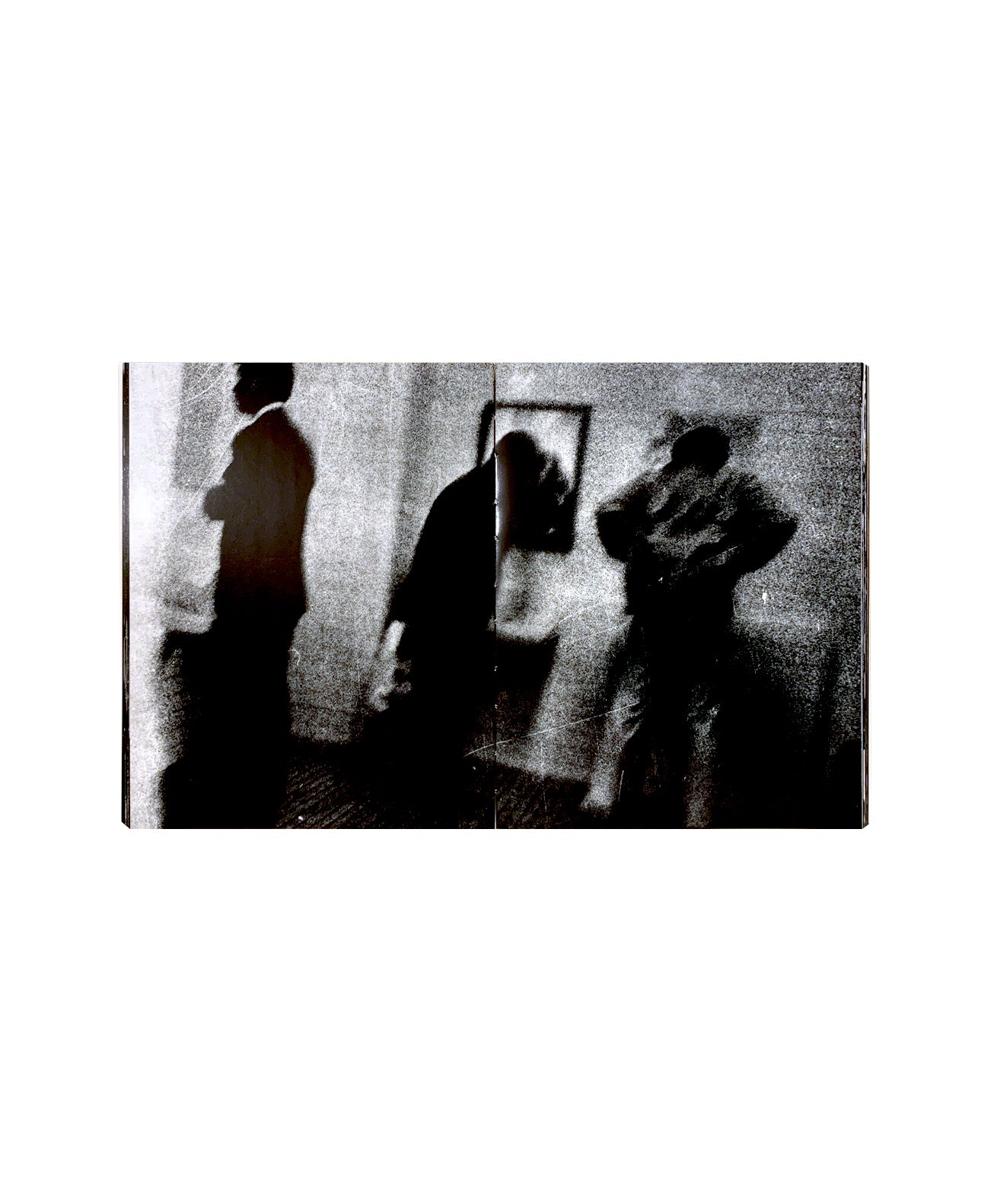 Daido Moriyama - Farewell Photography
