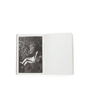 Charger l&#39;image dans la galerie, Daido Moriyama - Kagero