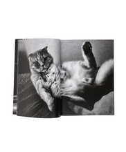 画像をギャラリービューアに読み込む, DAIDO MORIYAMA - RECORD N°52