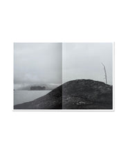 Load image into Gallery viewer, DANA COJBUC - YGGDRASIL (SPECIAL EDITION)