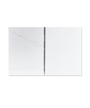 Load image into Gallery viewer, DANA COJBUC - YGGDRASIL (SPECIAL EDITION)