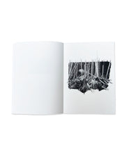 Load image into Gallery viewer, DANA COJBUC - YGGDRASIL (SPECIAL EDITION)