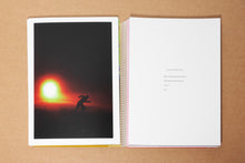 Load image into Gallery viewer, ELISE LEBAINDRE - LA CHASSE AUX MONSTRES (SIGNED)