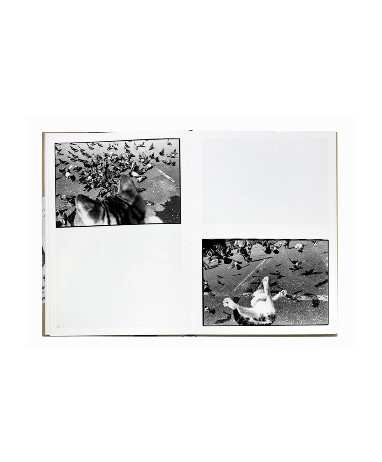 Masahisa Fukase - Sasuke (Special Edition B) 