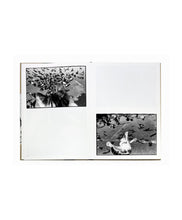 Load image into Gallery viewer, MASAHISA FUKASE - SASUKE (SPECIAL EDITION B)