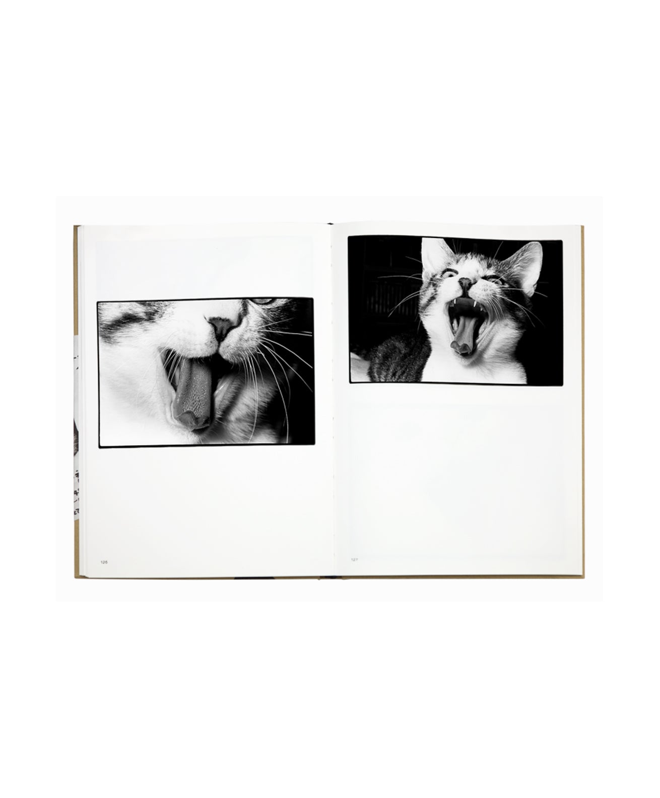 Masahisa Fukase - Sasuke (Special Edition B) 