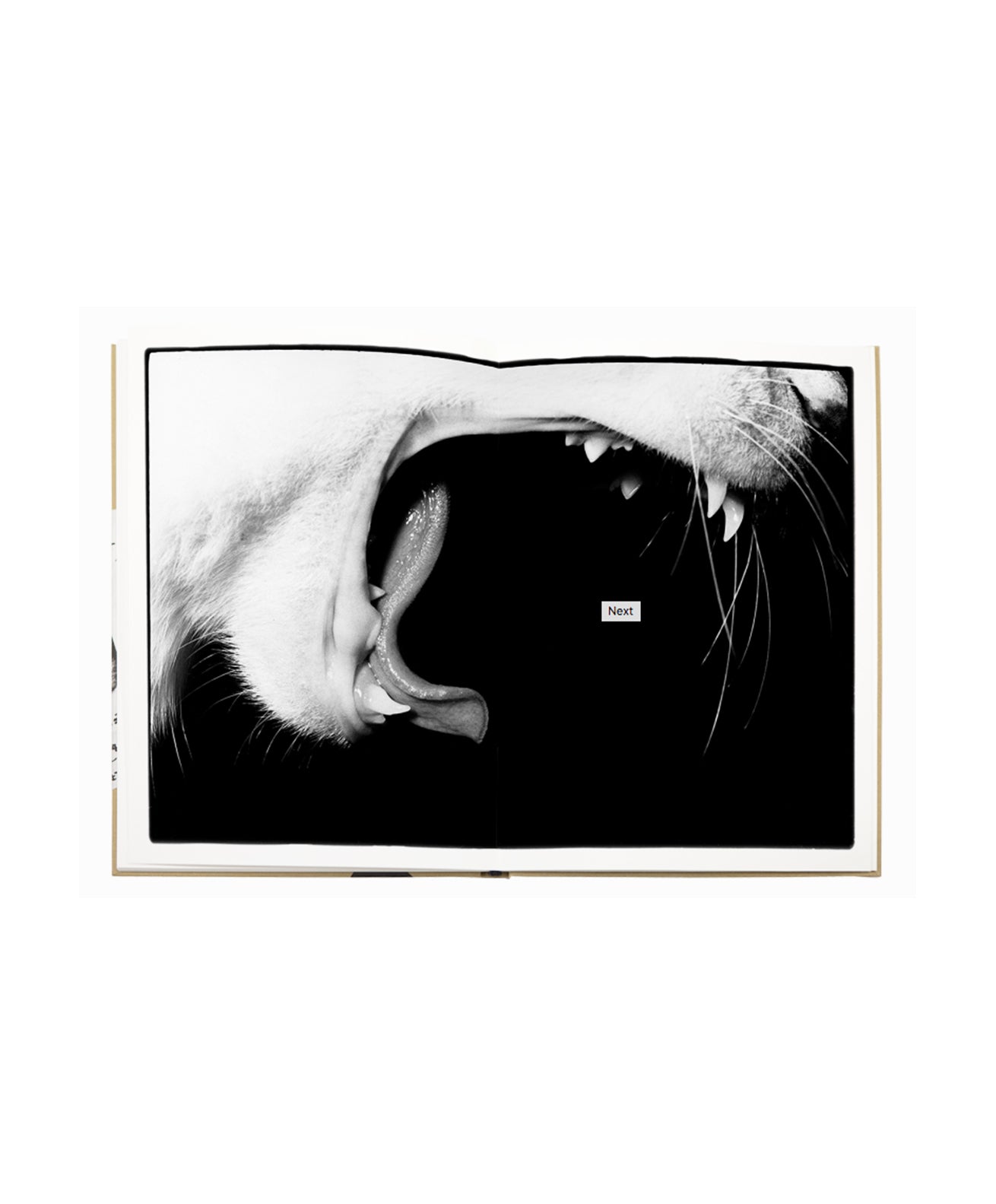 Masahisa Fukase - Sasuke