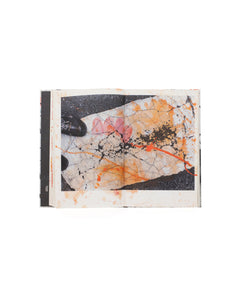 Masahisa Fukase - Hibi