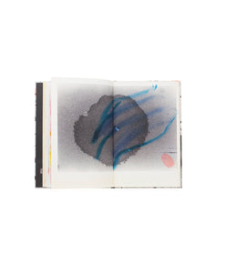 Masahisa Fukase - Hibi