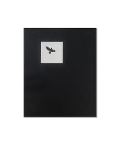 Graciela Iturbide - Pájaros