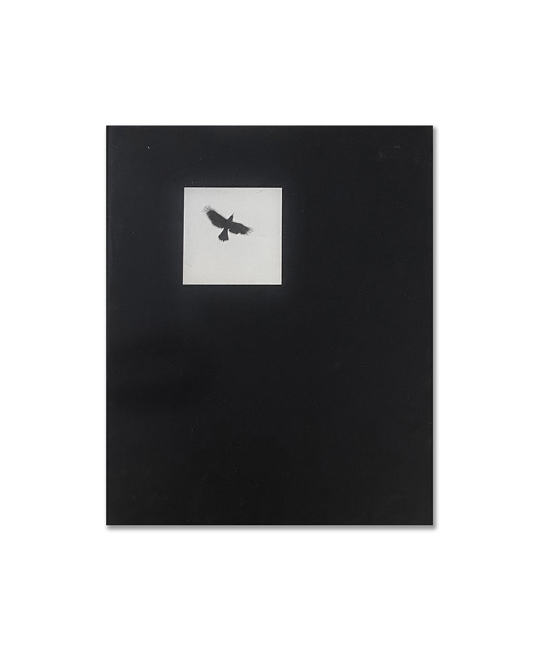 Graciela Iturbide - Pájaros