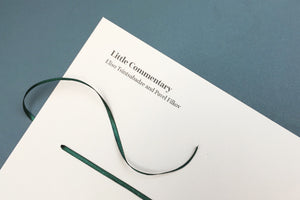 Eliso Tsintsabadze & Pavel Filkov - Little Commentary