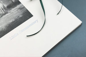 Eliso Tsintsabadze & Pavel Filkov - Little Commentary