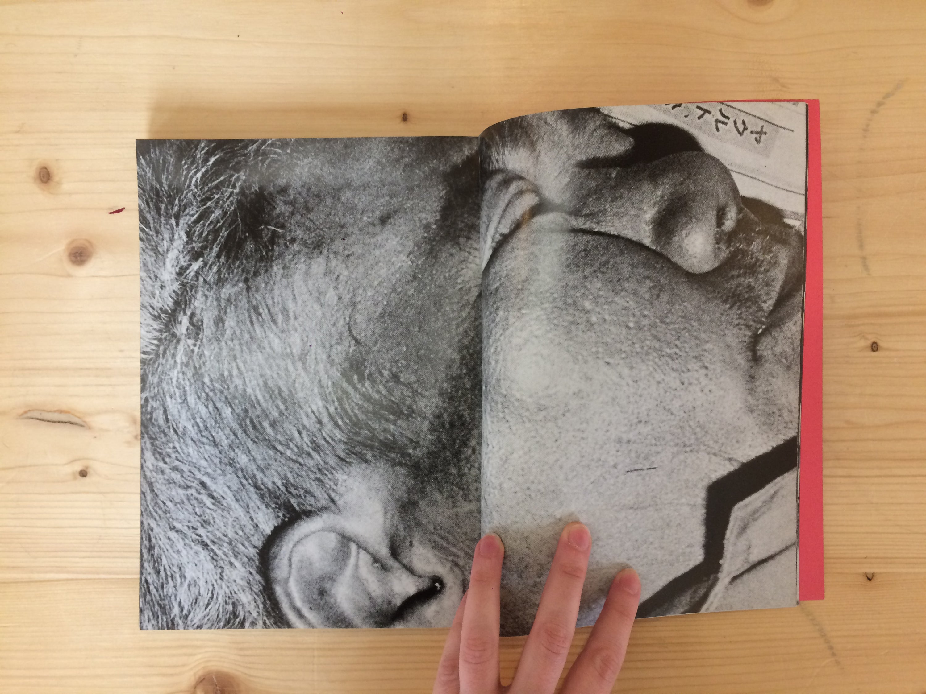 SHIGEKAZU KAWAMURA &amp; DAIDO MORIYAMA - OSAKA (SIGNED)