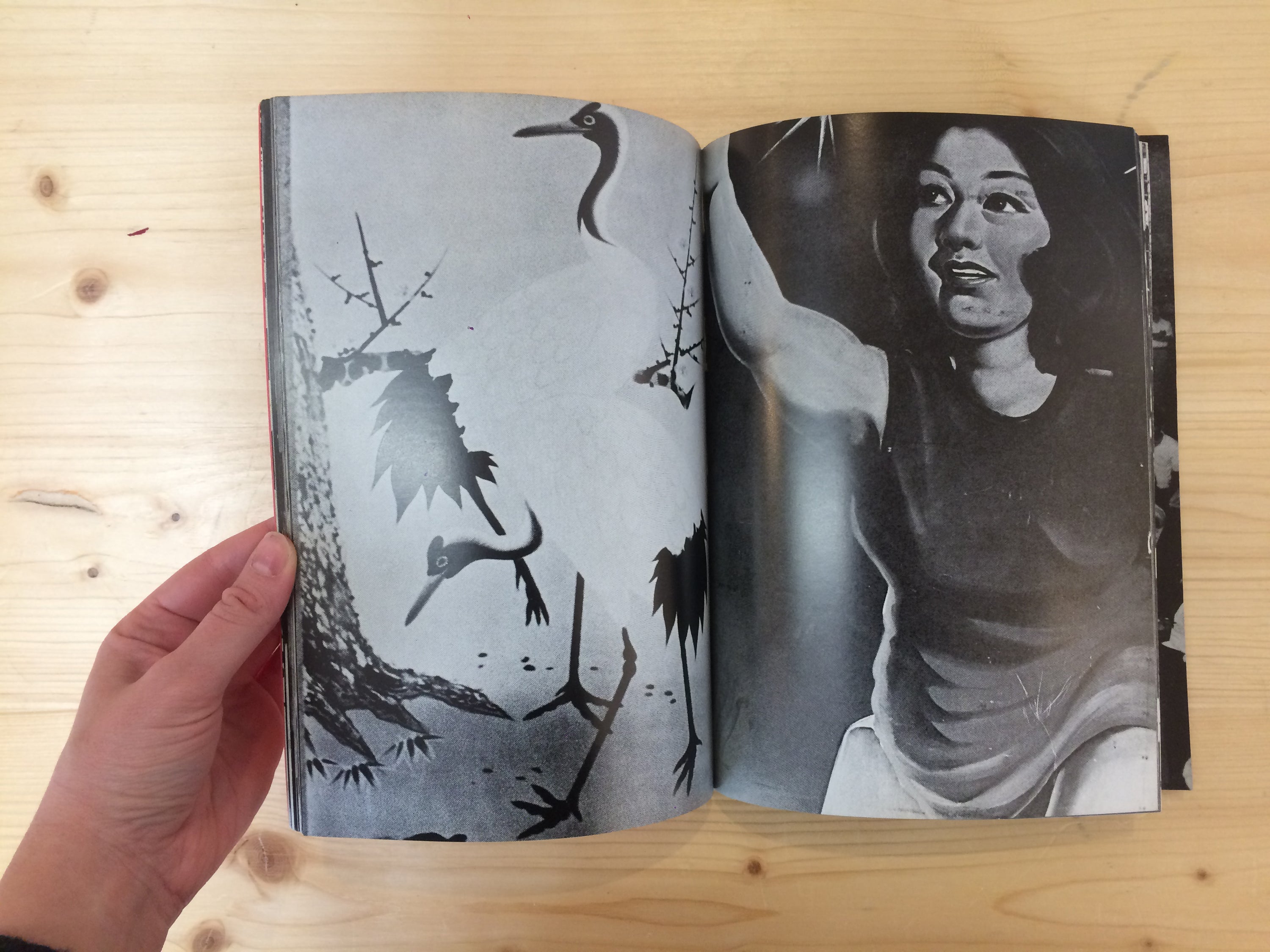 SHIGEKAZU KAWAMURA &amp; DAIDO MORIYAMA - OSAKA (SIGNED)