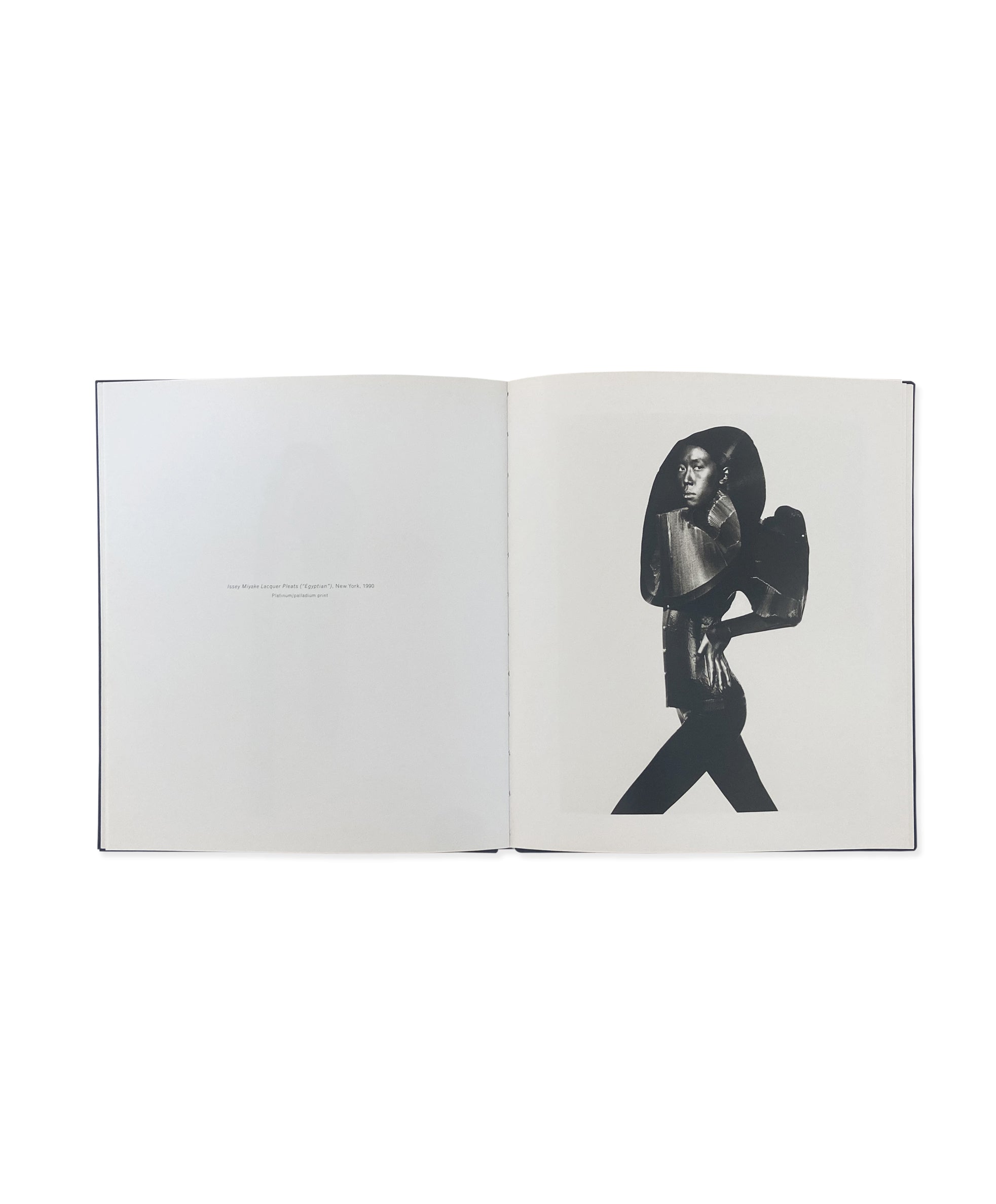 IRVING PENN & ISSEY MIYAKE – Galerie Écho