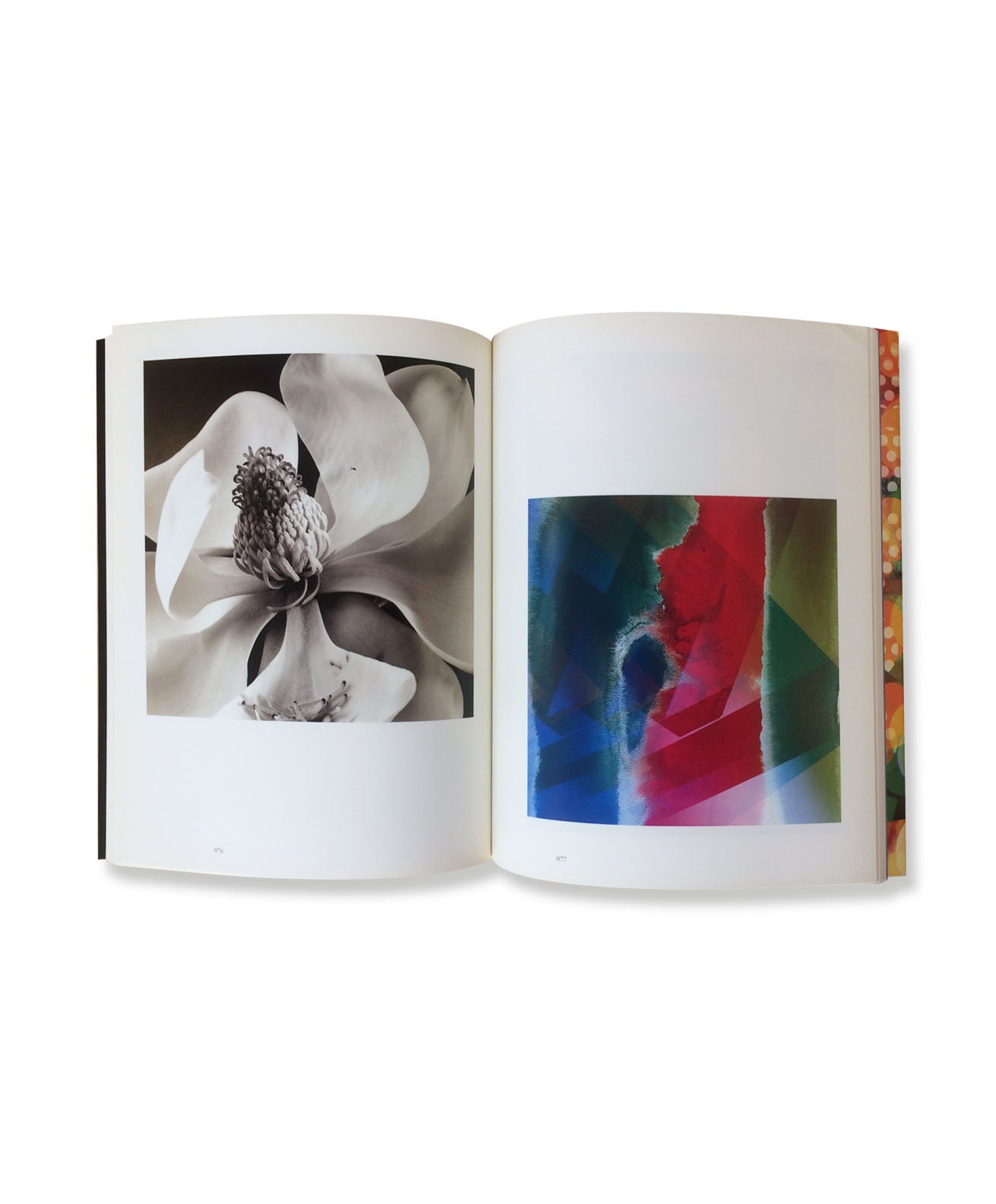 YASUHIRO ISHIMOTO - Couleur et Forme