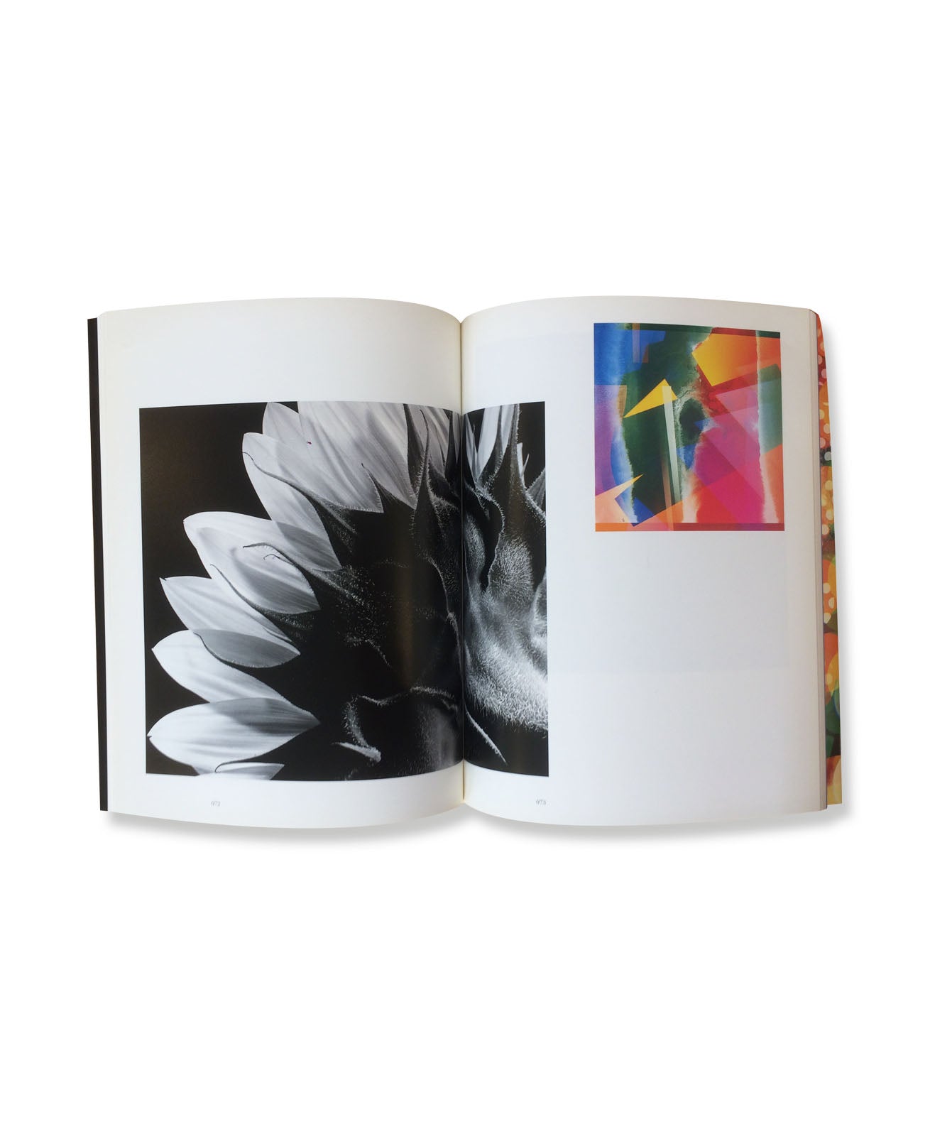YASUHIRO ISHIMOTO - Couleur et Forme