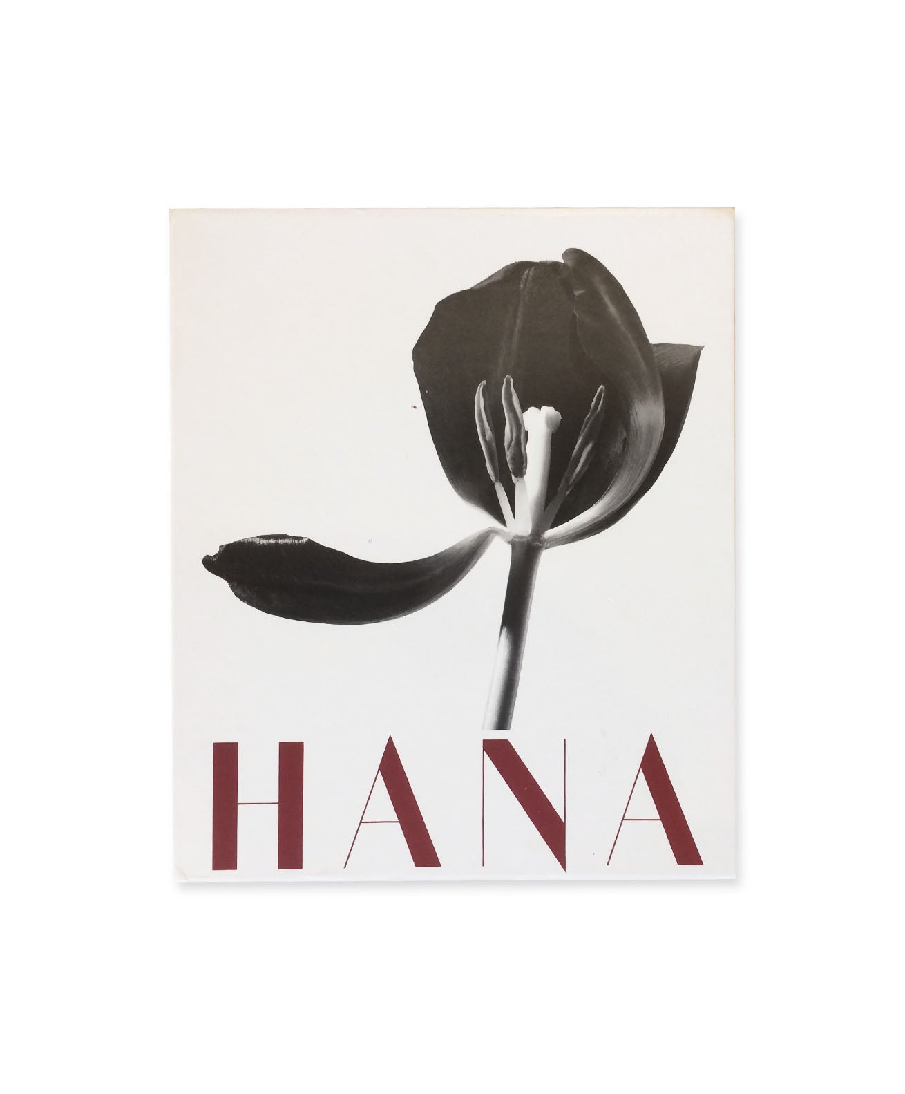 アート・デザイン・音楽 Yasuhiro Ishimoto A TALE OF TWO CITIES Yasuhiro Ishimoto: A Tale Of Two Cities Signed First Edition