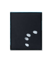 Load image into Gallery viewer, JIM GOLDBERG - FINGERPRINT