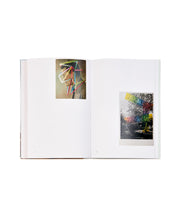 Load image into Gallery viewer, JULIE COCKBURN - Stickybeak