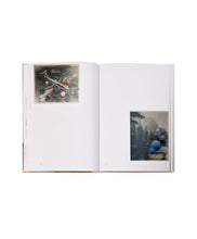 Load image into Gallery viewer, JULIE COCKBURN - Stickybeak