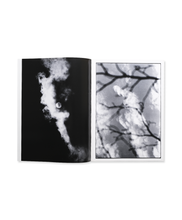 Load image into Gallery viewer, KIKUJI KAWADA - THE LAST COSMOLOGY