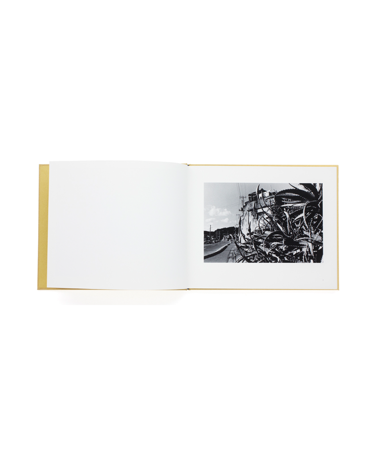 KOJI ONAKA - THE 1ST BOOK 1988 - 1991 (SIGNED)
