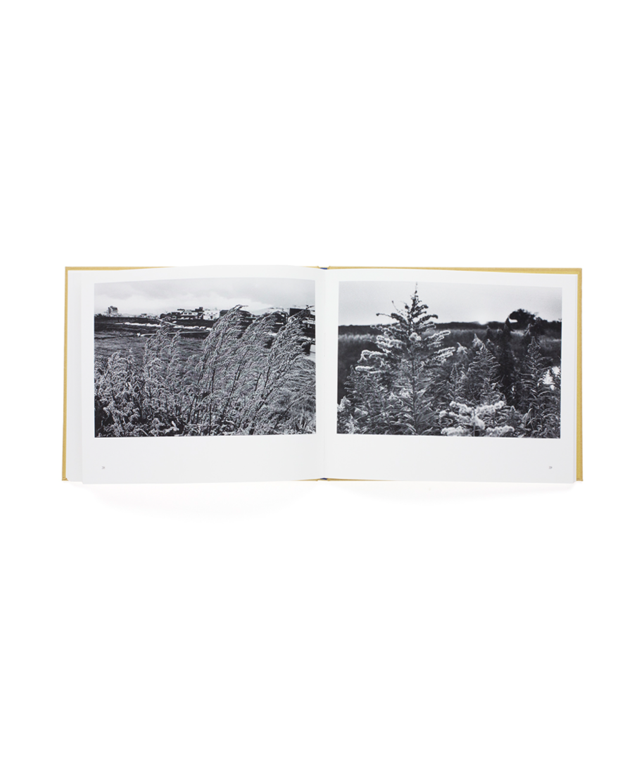 KOJI ONAKA - THE 1ST BOOK 1988 - 1991 (SIGNED)