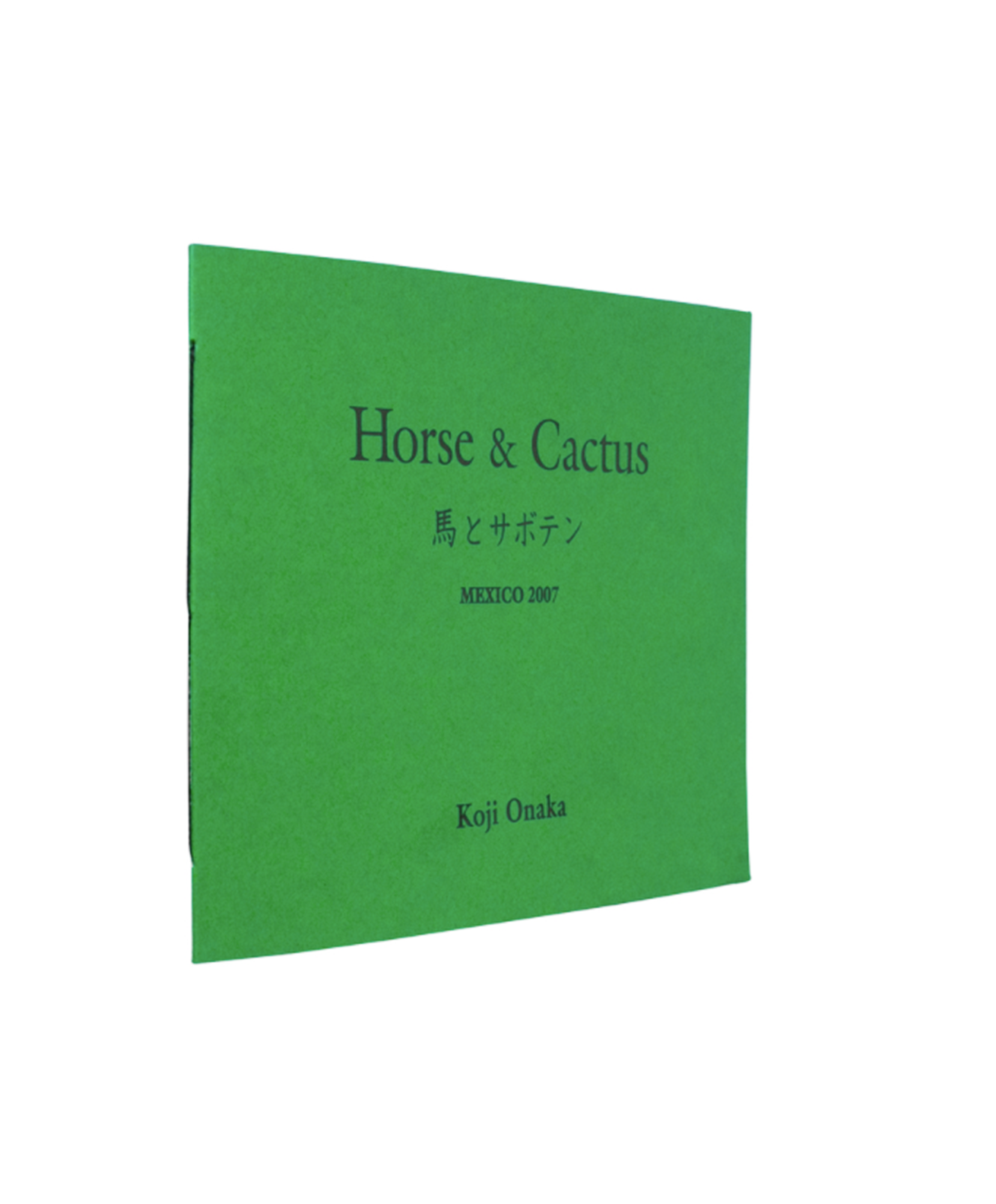 Koji Onaka - Horse & Cactus