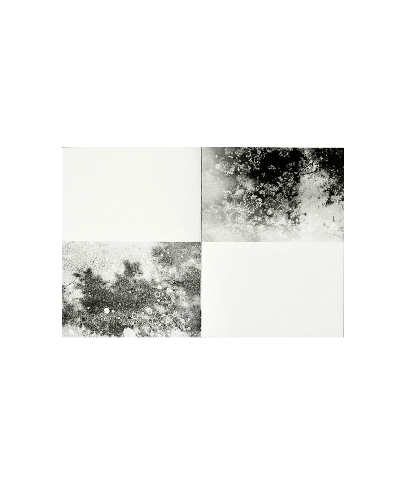 MARGARET LANSINK - BORDERS OF NOTHINGNESS _ ON THE MEND 