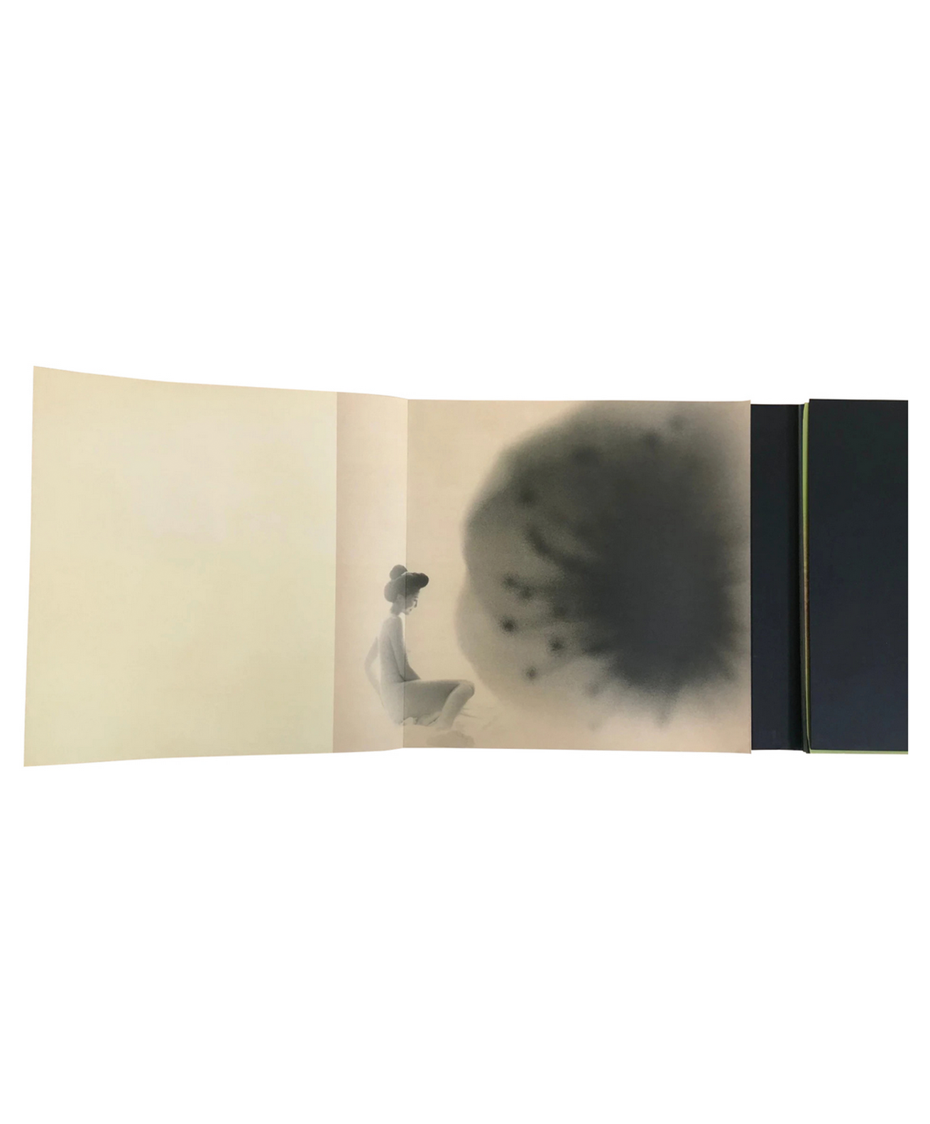Miho Kajioka - ﻿And, do you still hear the peacocks?