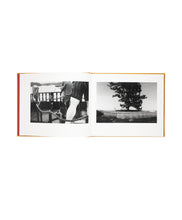 画像をギャラリービューアに読み込む, MIHO YOKOCHI - YASHI NO MI (SIGNED)