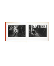 画像をギャラリービューアに読み込む, MIHO YOKOCHI - YASHI NO MI (SIGNED)