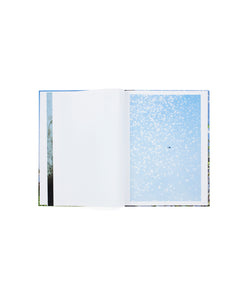 YOSHINORI MIZUTANI - YUSURIKA (SPECIAL EDITION)