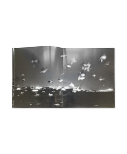 Graciela Iturbide - Pájaros