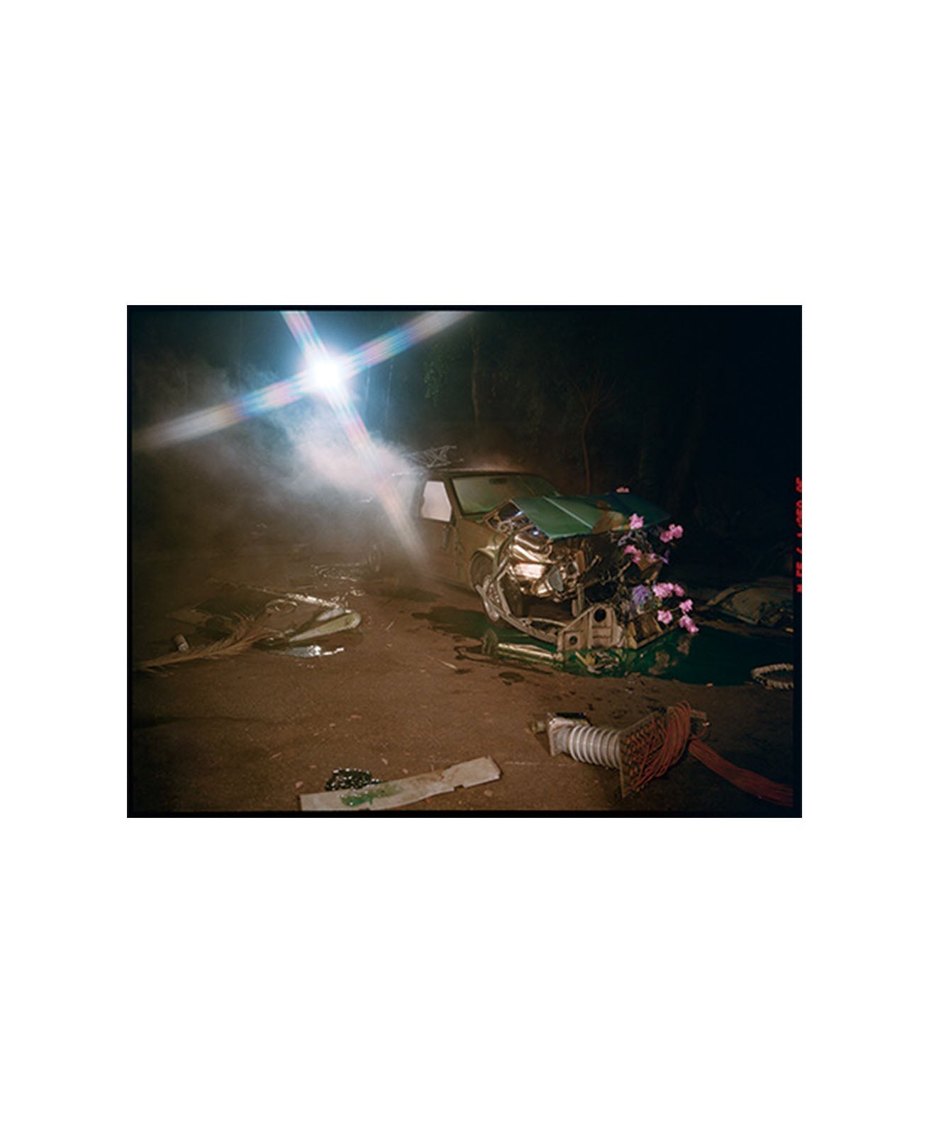 PETRA COLLINS - OMG ! IM BEING KILLED