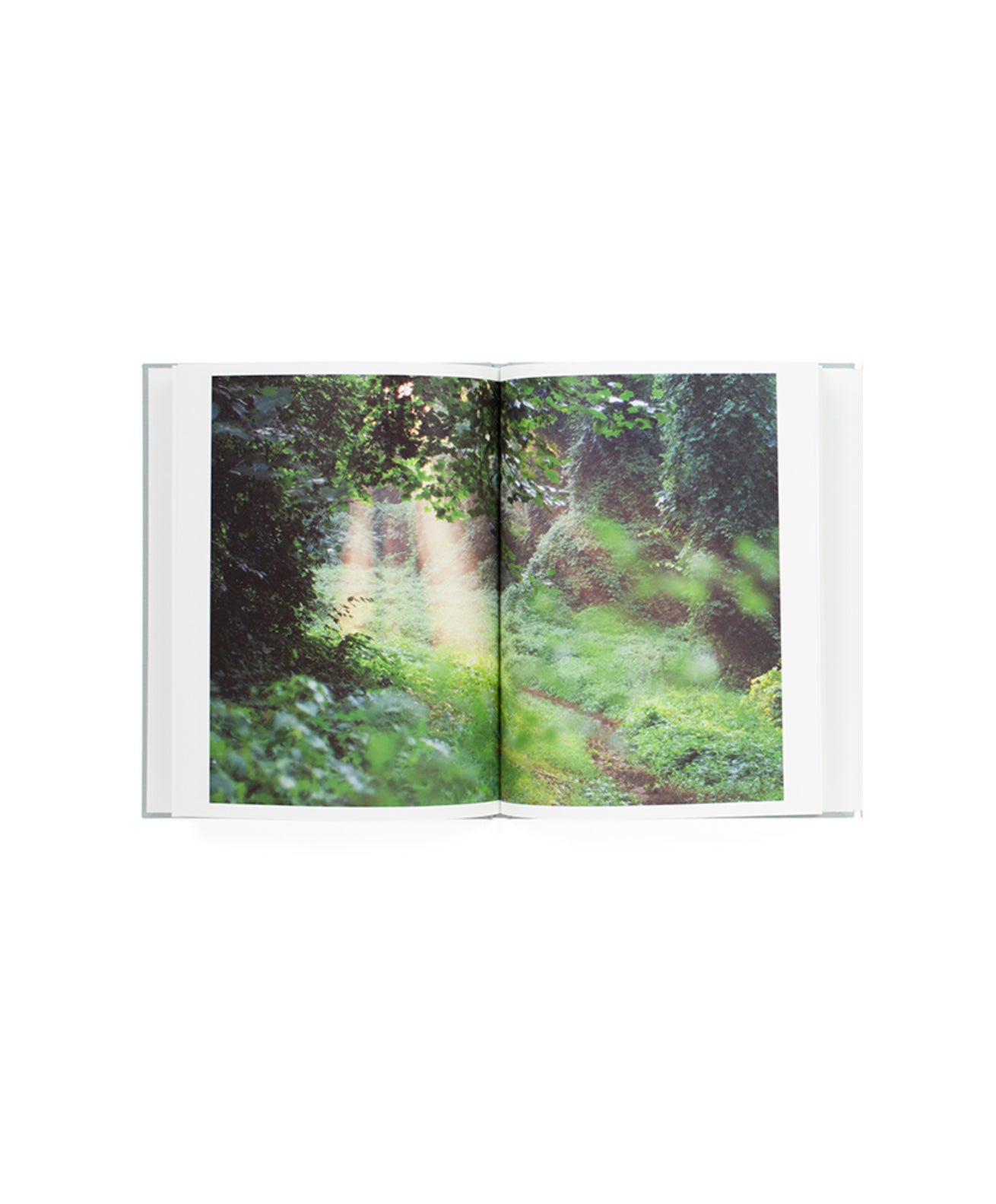 1,000部限定 希少❗️写真集　Terri Weifenbach RINKO KAWAUCHI AND TERRI WEIFENBACH – GIFT – Galerie Écho