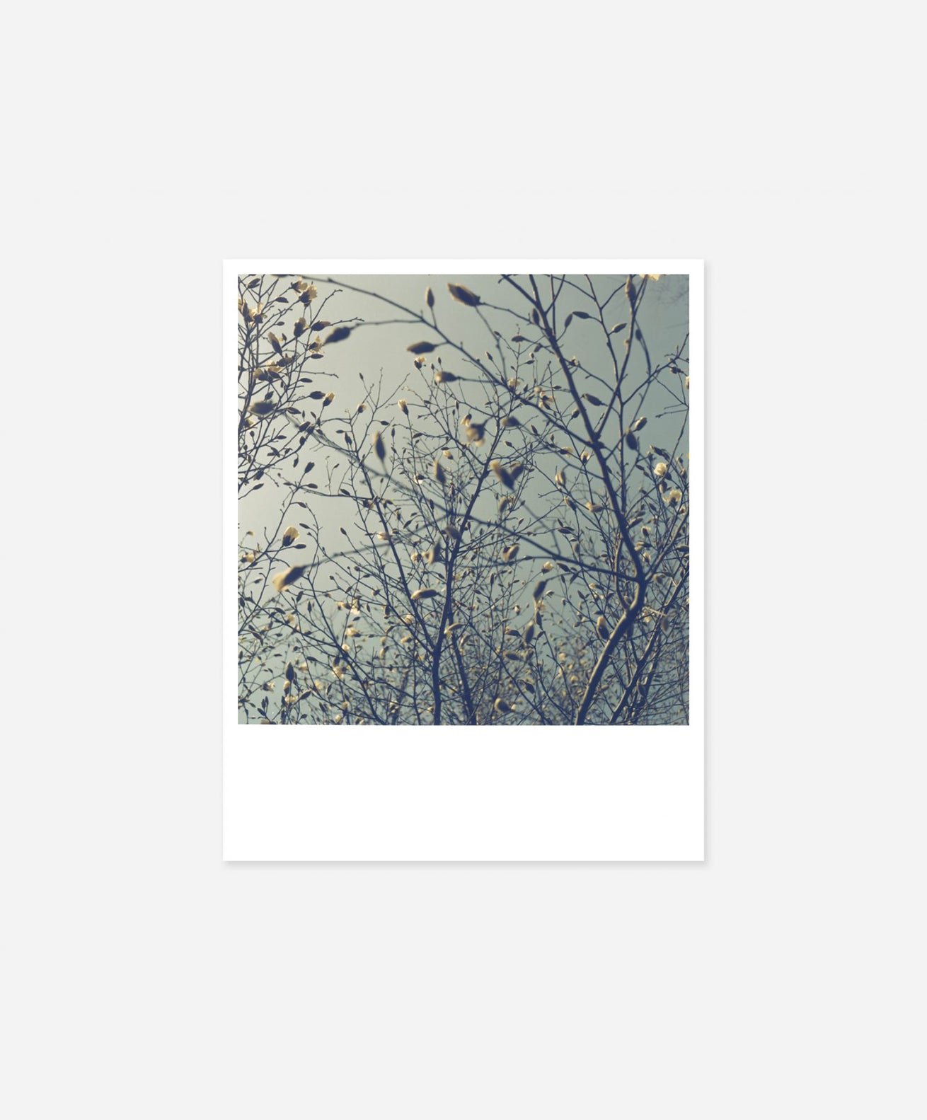 Rinko Kawauchi - Early Works 1997
