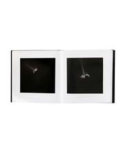 Load image into Gallery viewer, Jean-Pierre Bibring &amp; Hanns Zischler - The Comet, The Voyage of Rosetta