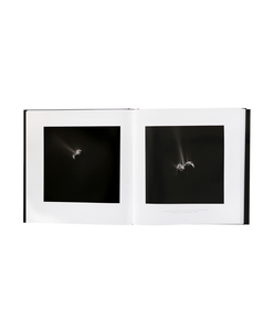 Jean-Pierre Bibring &amp; Hanns Zischler - The Comet, The Voyage of Rosetta