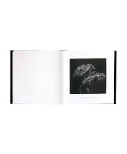 Load image into Gallery viewer, Jean-Pierre Bibring &amp; Hanns Zischler - The Comet, The Voyage of Rosetta